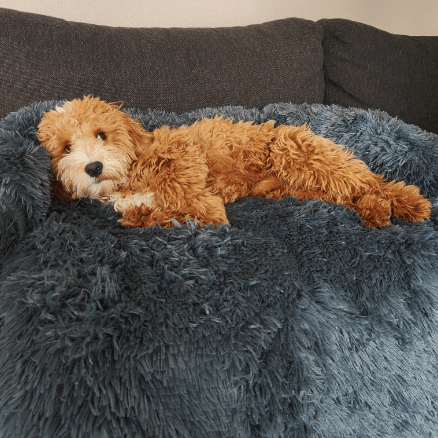 Classic calming sofa bed spread over a couch