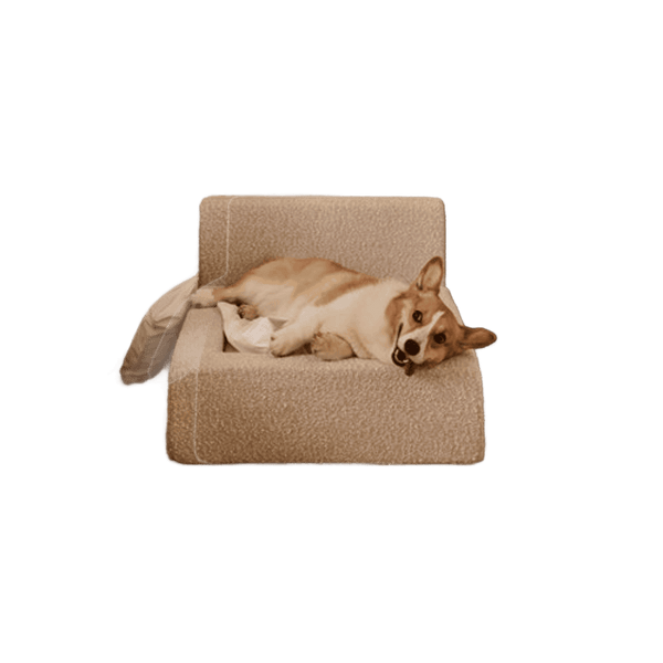 Real orthopedic dog bed with a mattress and a bolster frame