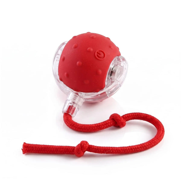 BarklyPaw Nub · Interactive Ball for Puppies & Small Dogs