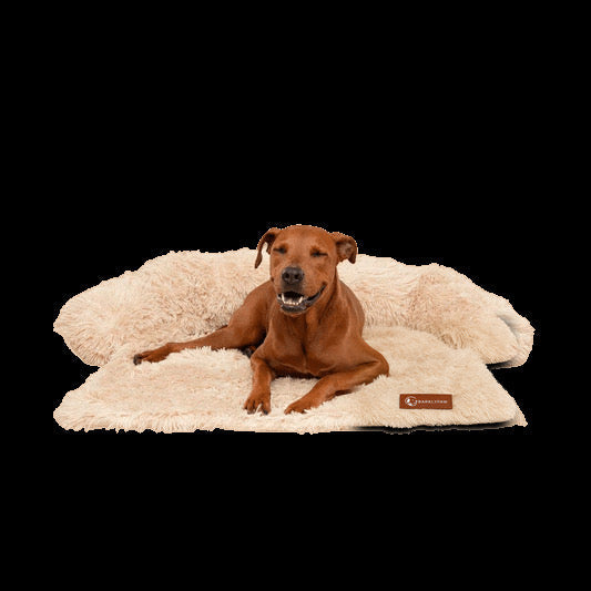Classic calming sofa bed spread over a couch