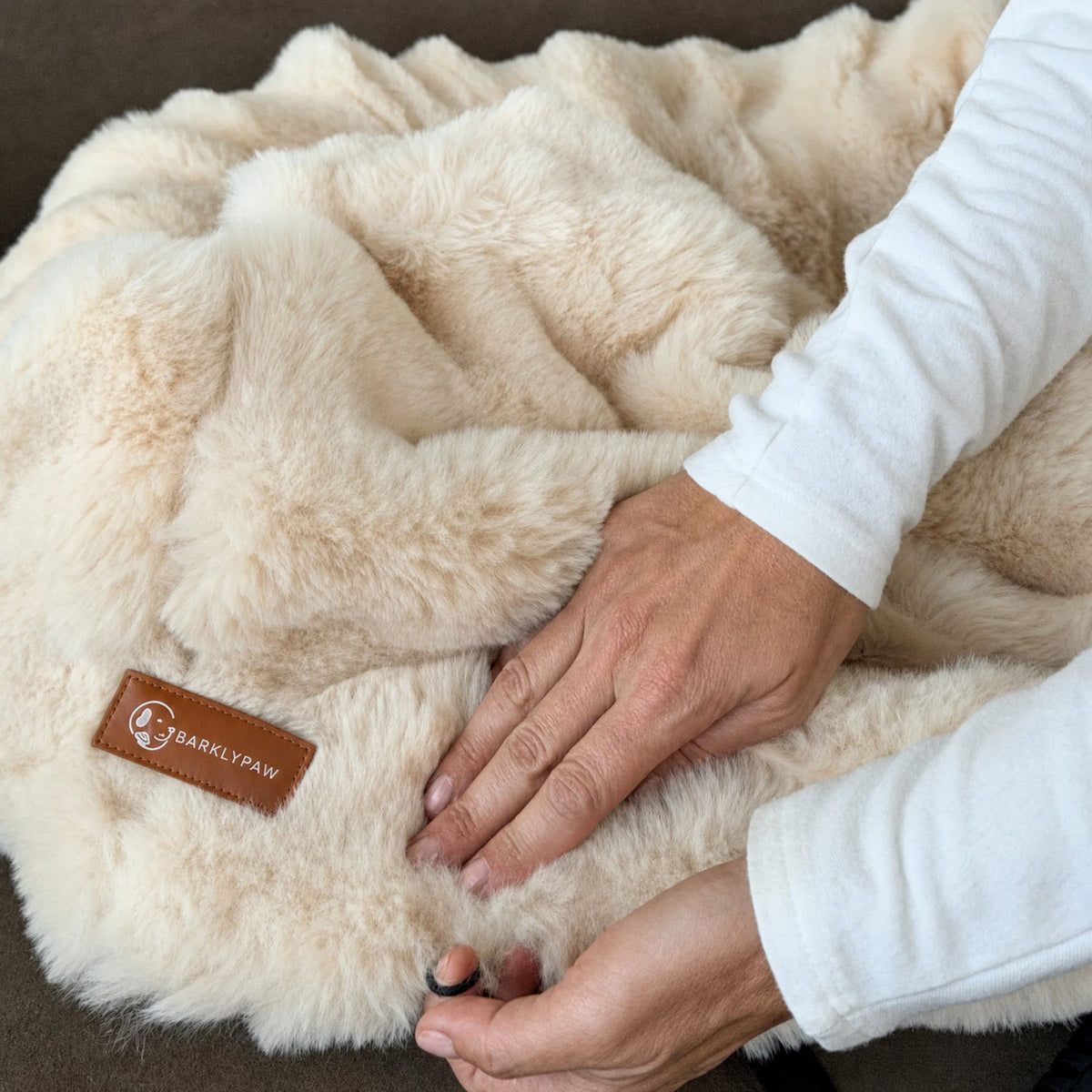 Luxurious car bed for dogs on a car seat