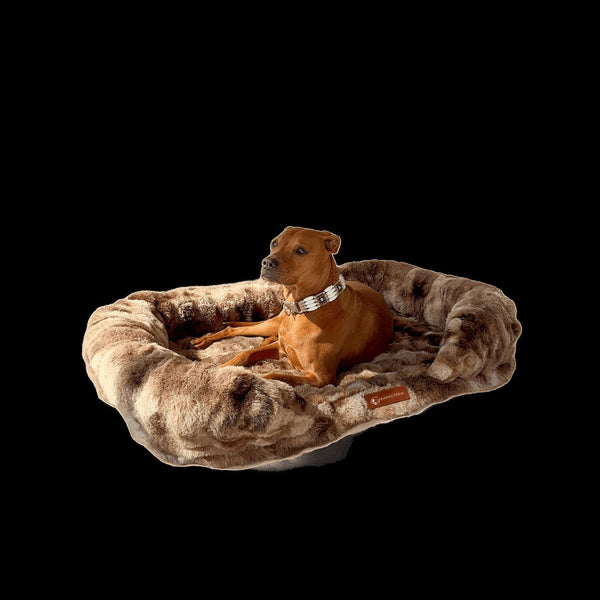 Luxurious orthopedic dog bed in a living room