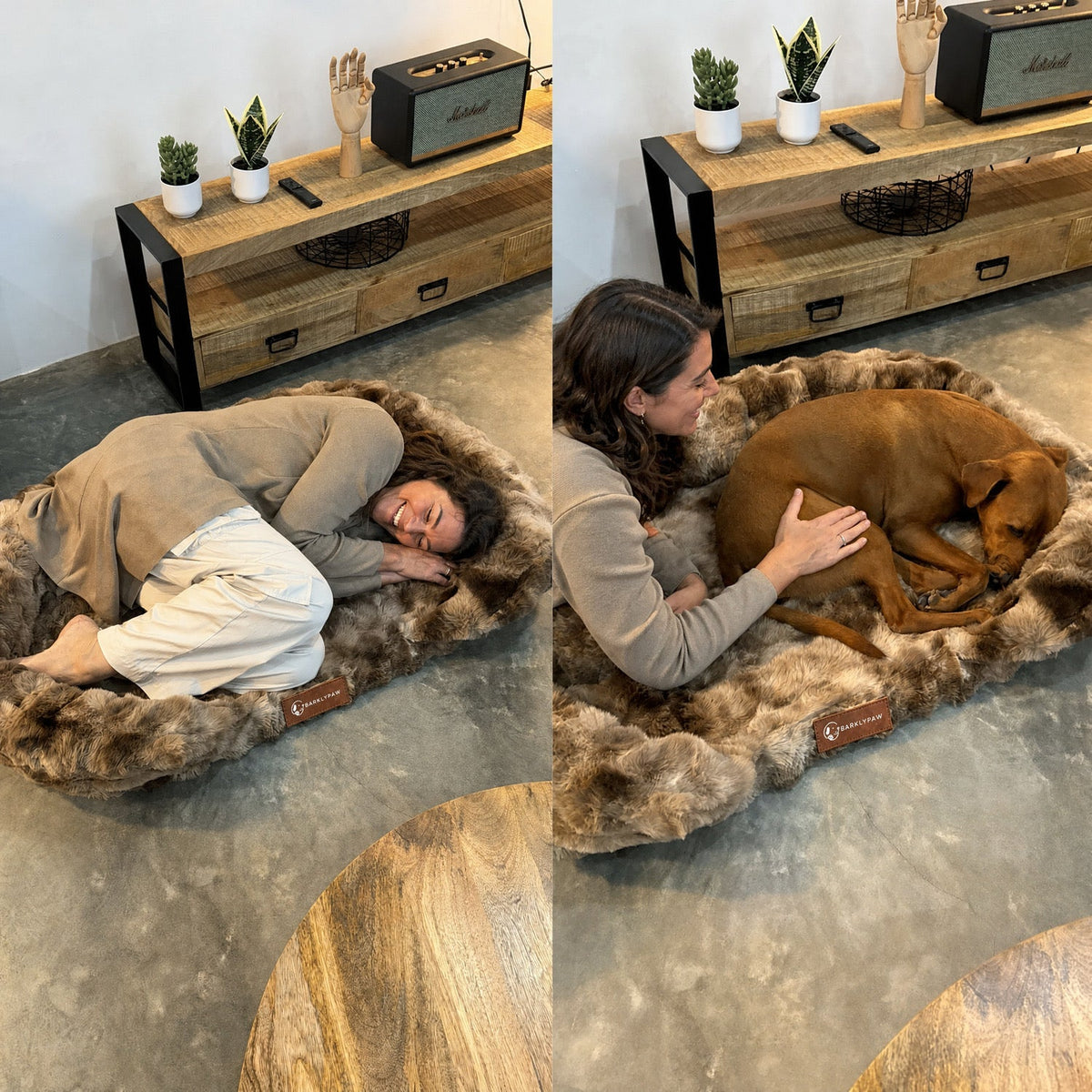 Luxurious orthopedic dog bed in a living room
