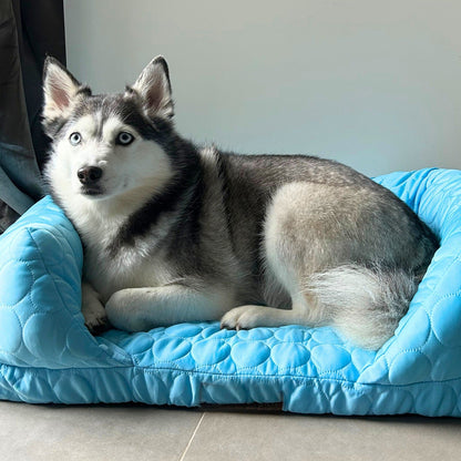 Cooling orthopedic dog bed in light blue