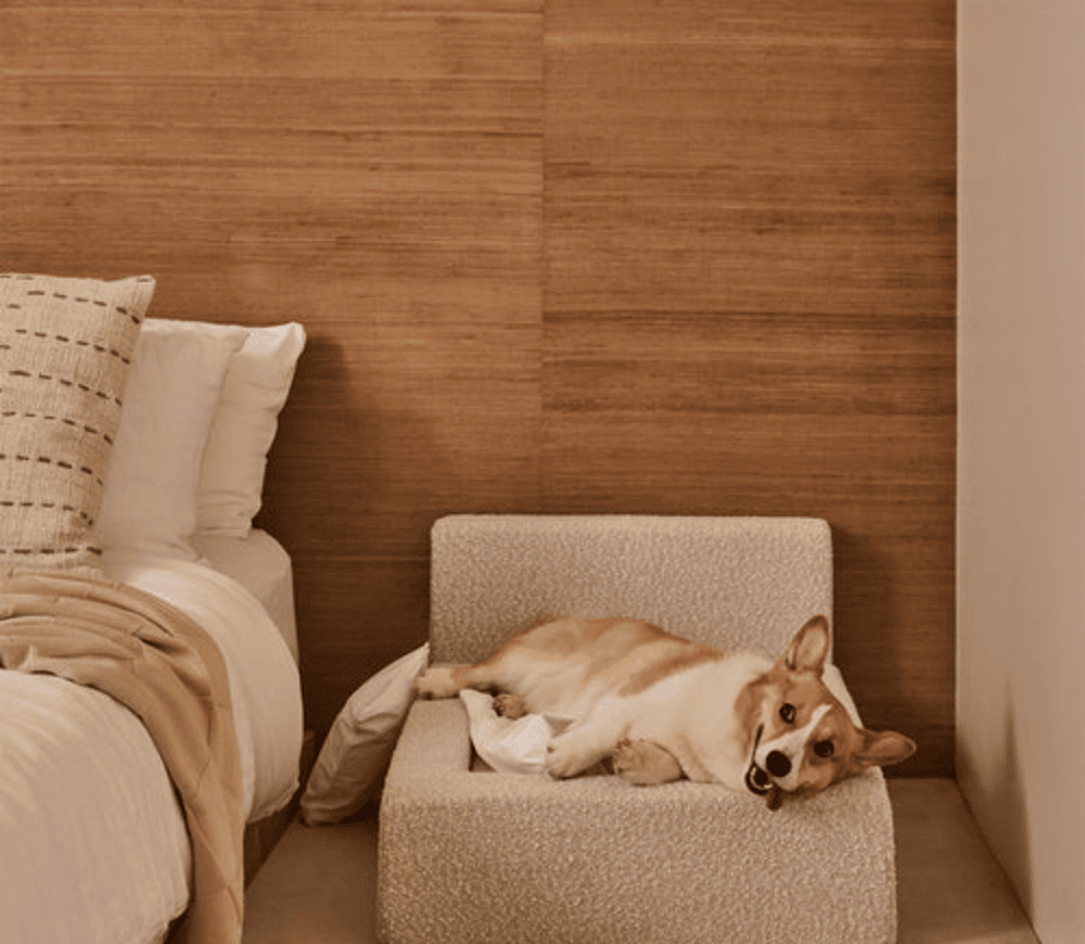 Real orthopedic dog bed with a mattress and a bolster frame
