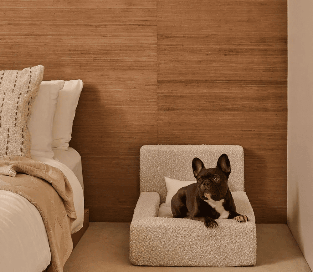 Real orthopedic dog bed with a mattress and a bolster frame