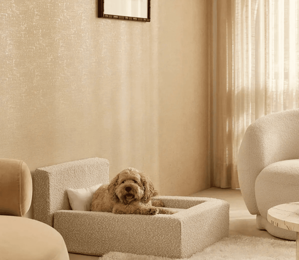 Real orthopedic dog bed with a mattress and a bolster frame