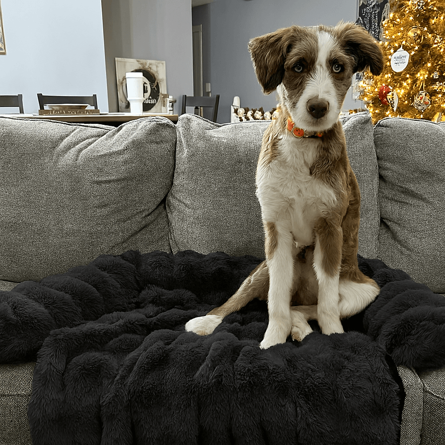 Luxurious faux-fur sofa bed for dogs with a dog resting on it