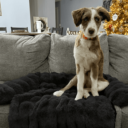 Luxurious faux-fur sofa bed for dogs with a dog resting on it