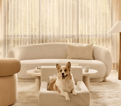 Real orthopedic dog bed with a mattress and a bolster frame