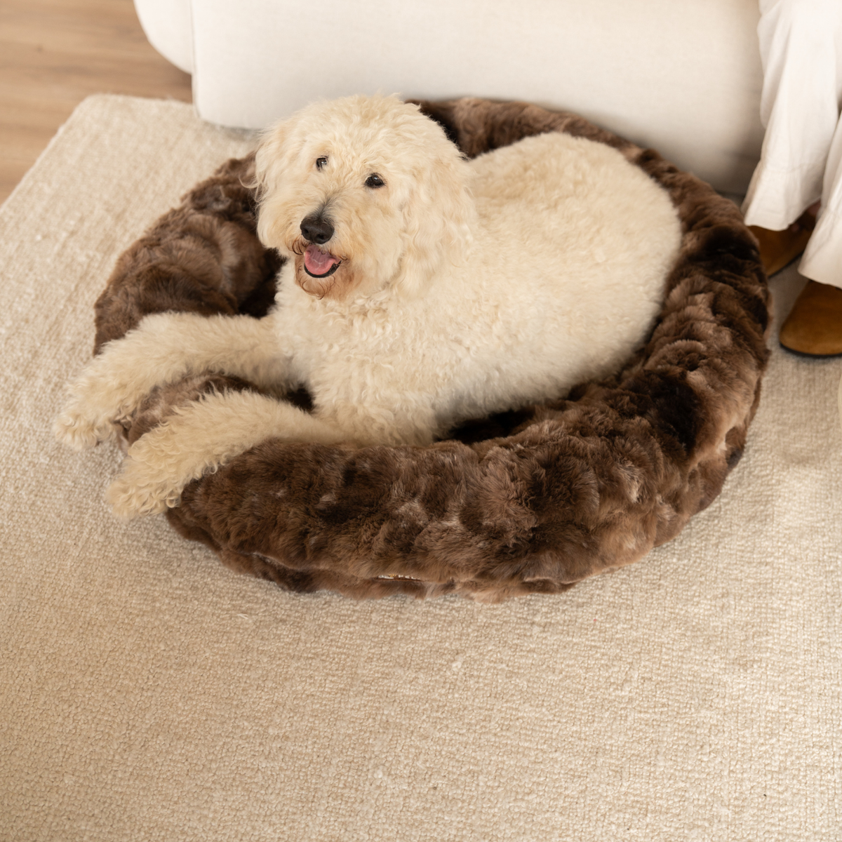 Luxurious faux-fur donut bed with a dog curled up in it