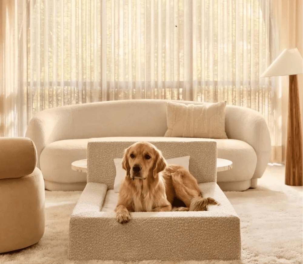 Real orthopedic dog bed with a mattress and a bolster frame