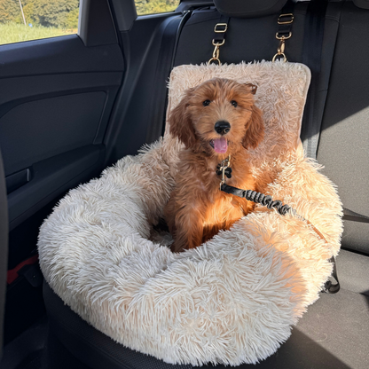 Protecting car bed for dogs with a small dog inside