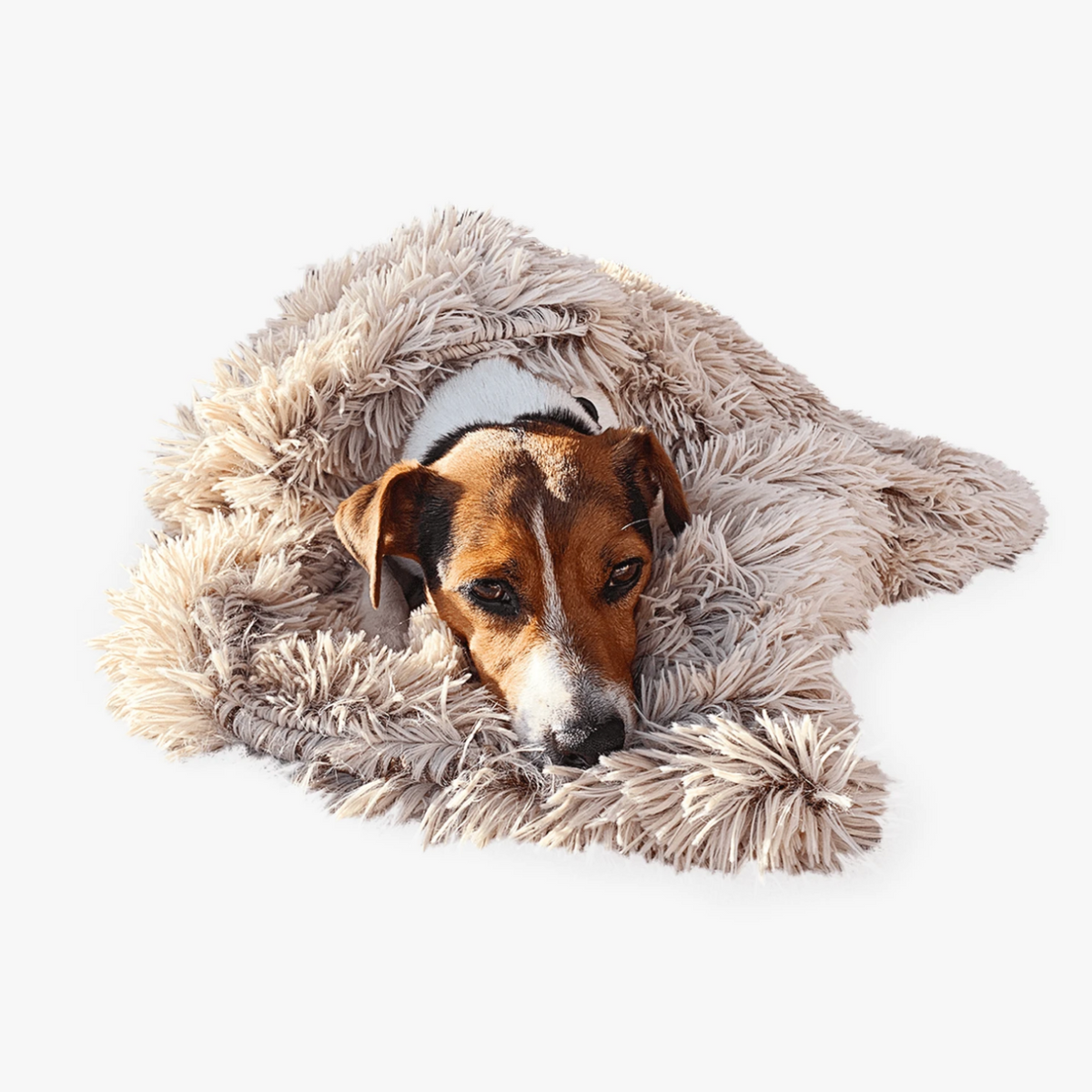 Calming faux-fur blanket for dogs