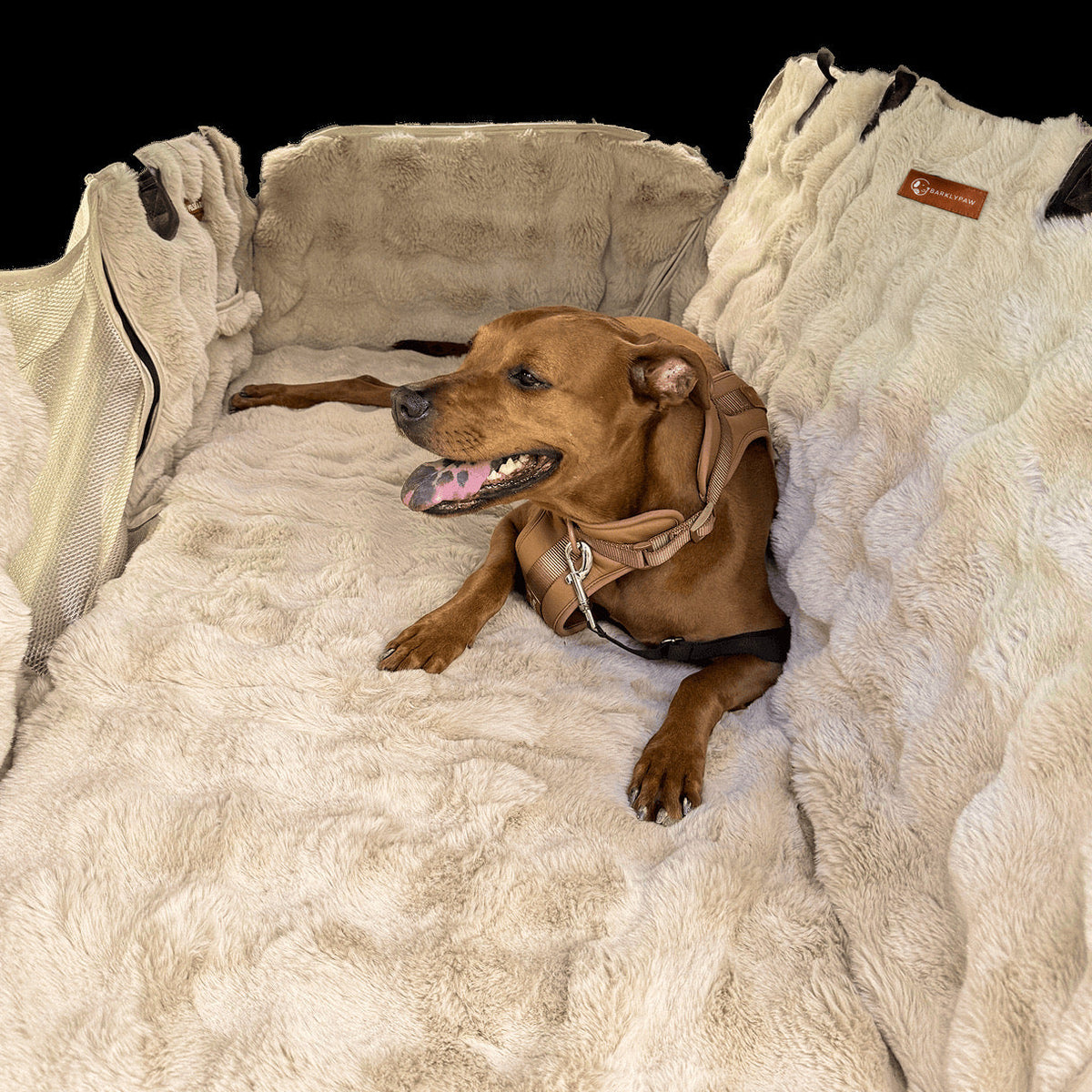 Full backseat protector for cars with a dog inside