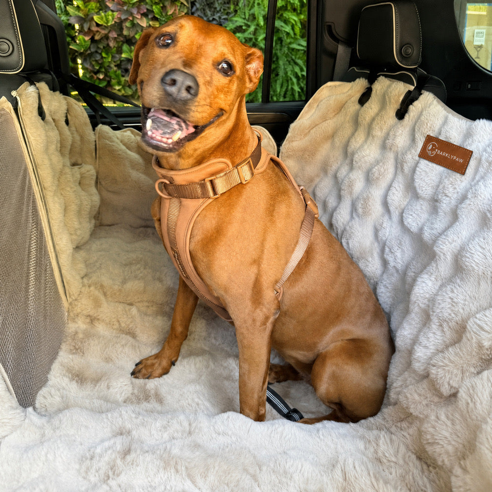 Full backseat protector for cars with a dog inside