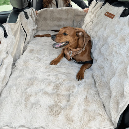 Full backseat protector for cars with a dog inside