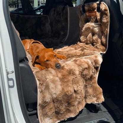 Full backseat protector for cars with a dog inside