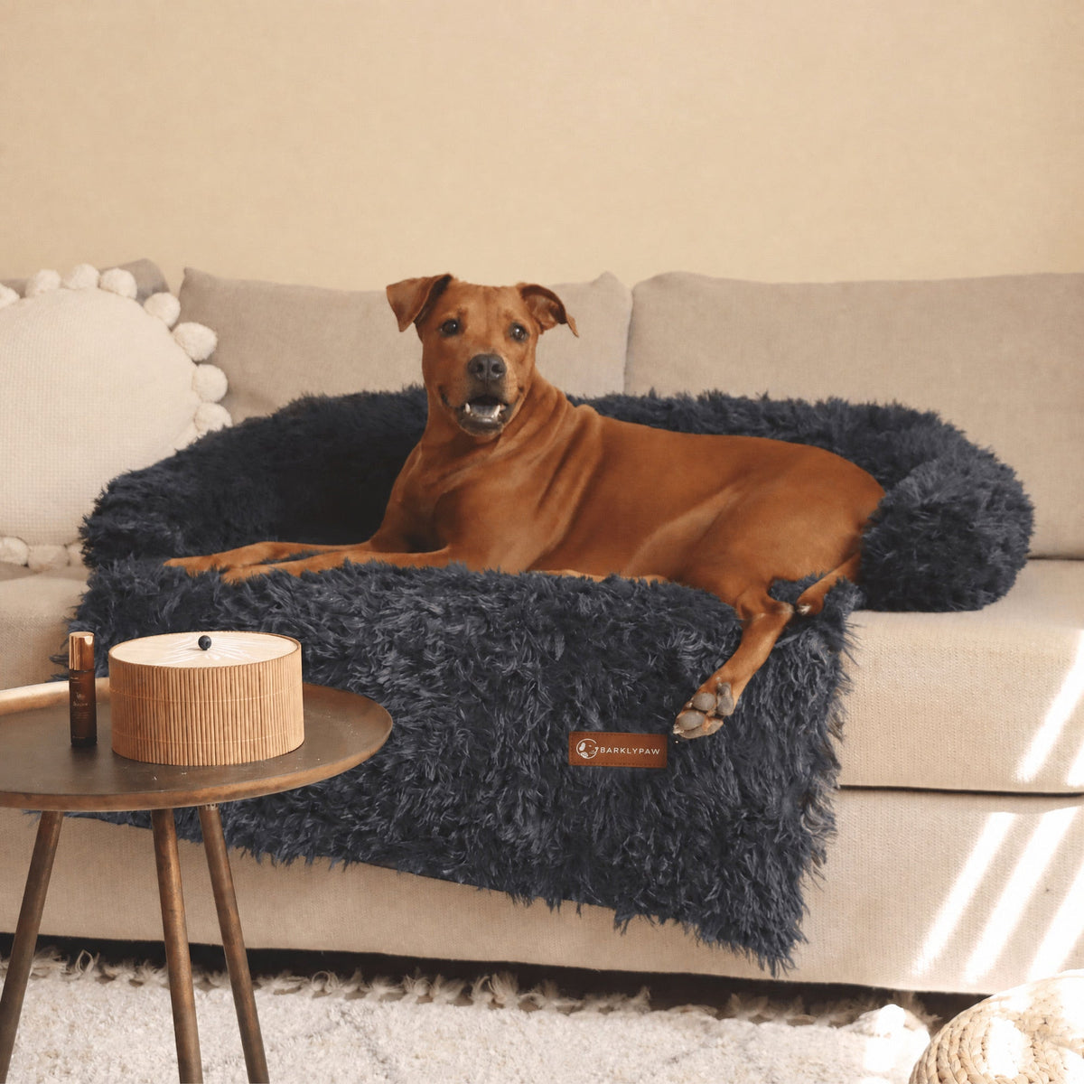 Classic calming sofa bed spread over a couch