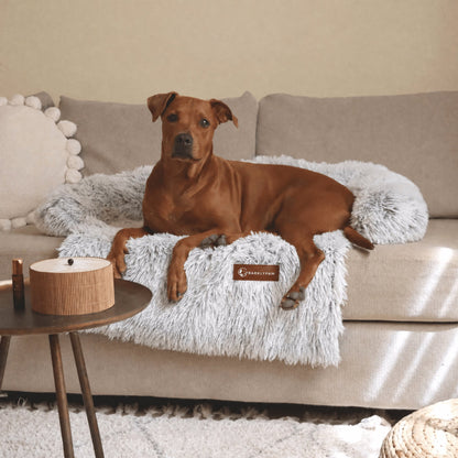 Classic calming sofa bed spread over a couch