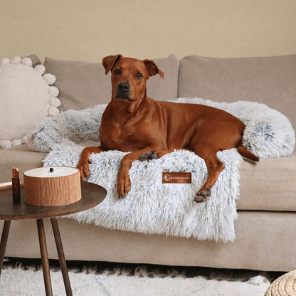 Classic calming sofa bed spread over a couch