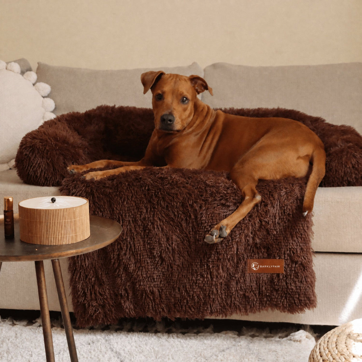 Classic calming sofa bed spread over a couch