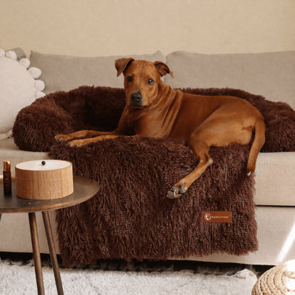 Classic calming sofa bed spread over a couch