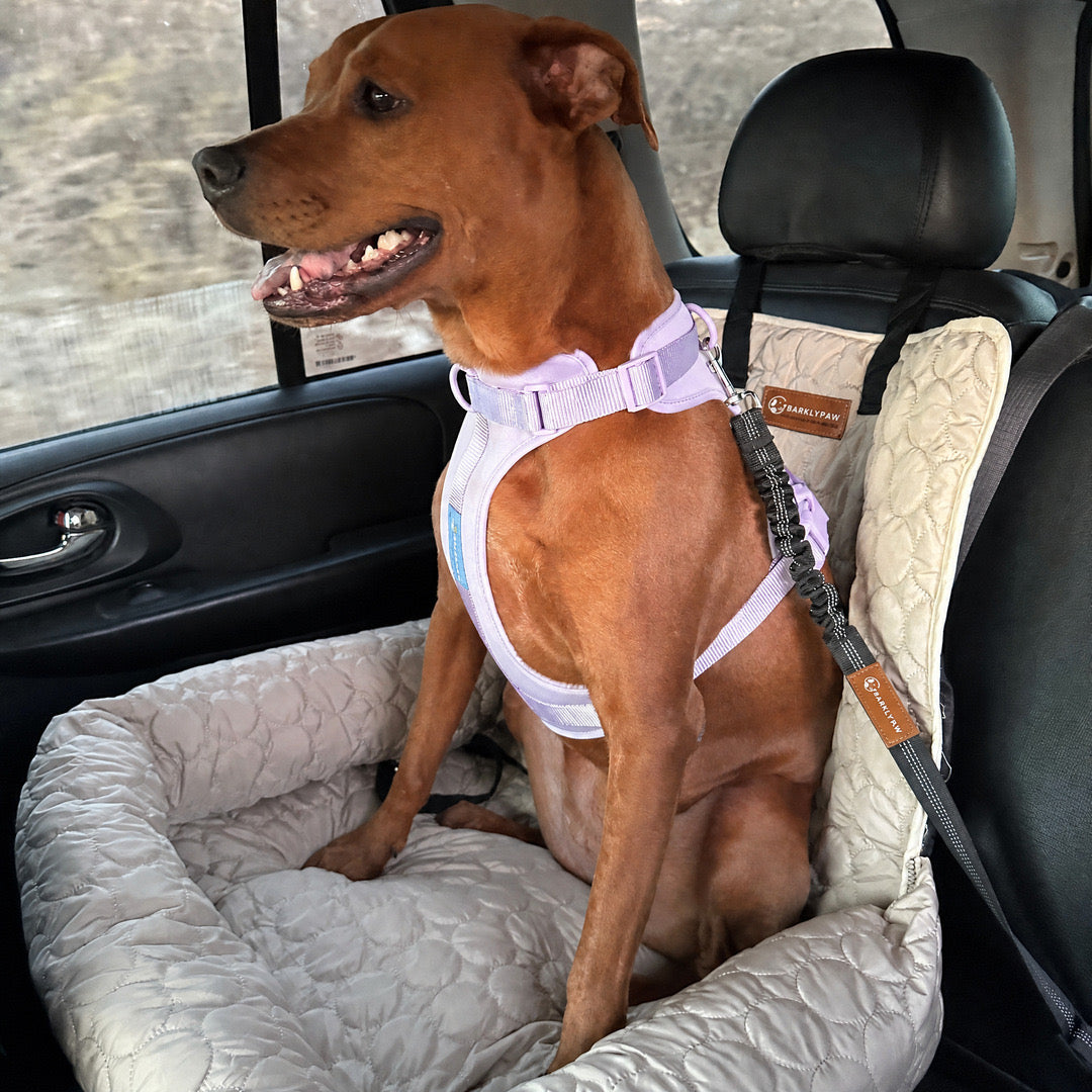 Cooling car bed for dogs on a car seat