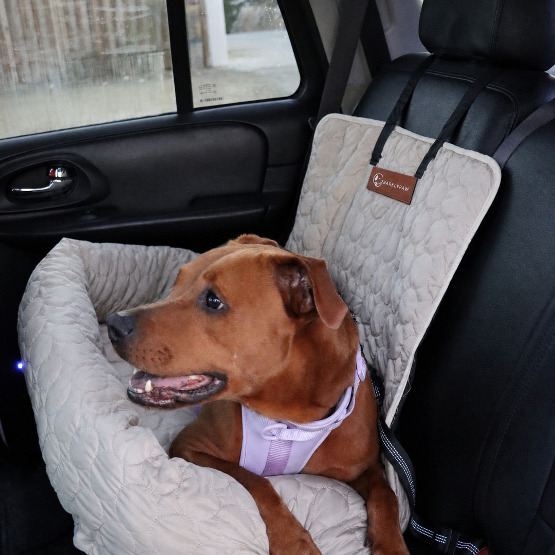 Cooling car bed for dogs on a car seat