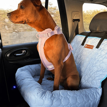 Cooling car bed for dogs on a car seat