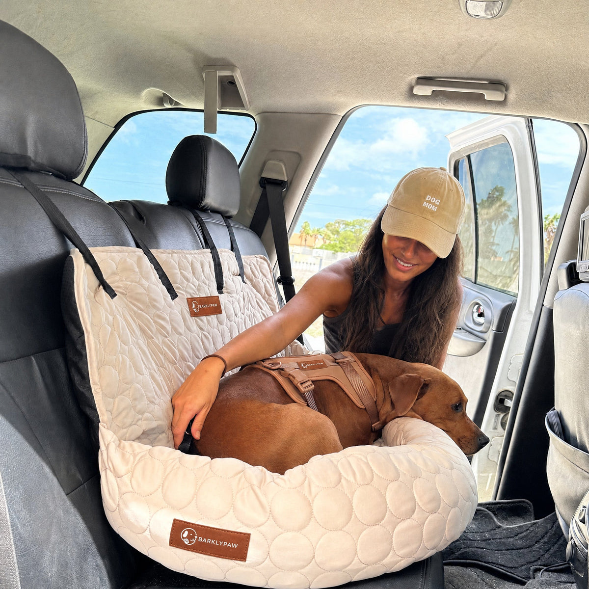 Cooling car bed for dogs on a car seat