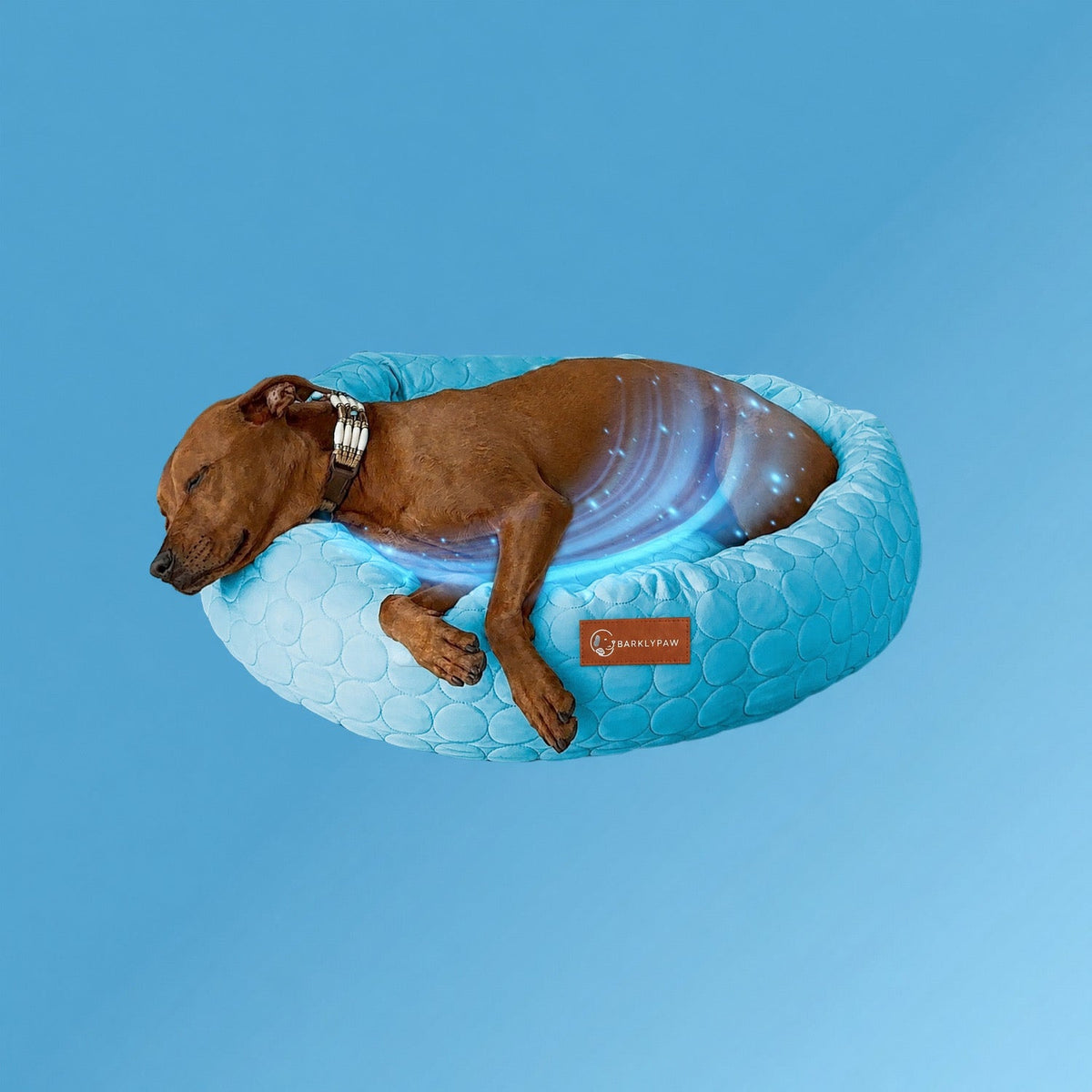 Cooling donut bed for dogs in blue