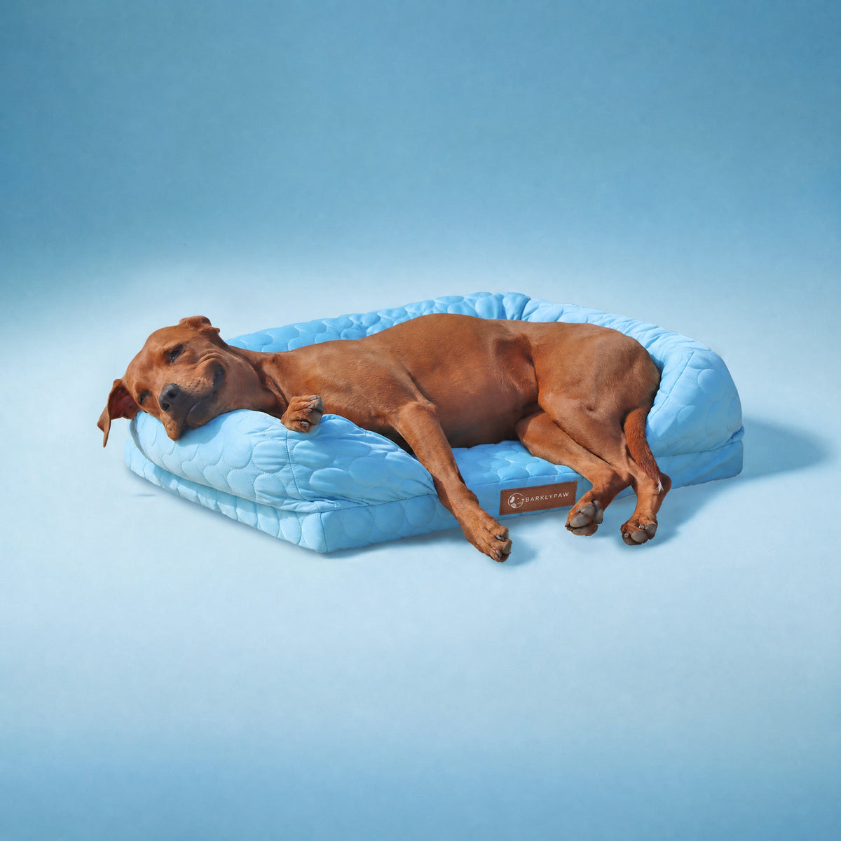 Cooling orthopedic dog bed in light blue