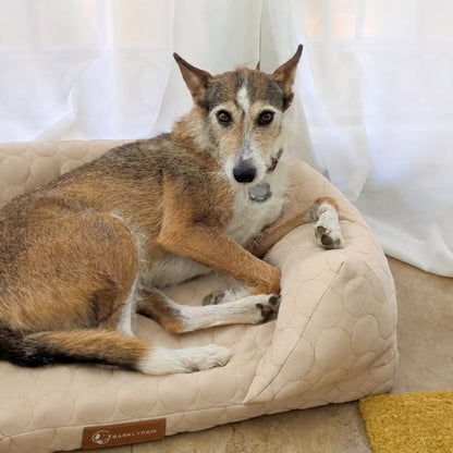 Cooling orthopedic dog bed in light blue