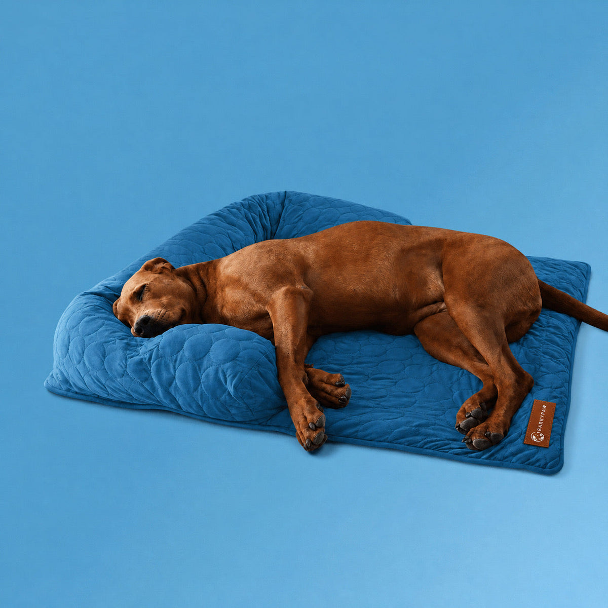 Cooling sofa bed for dogs on a living room couch