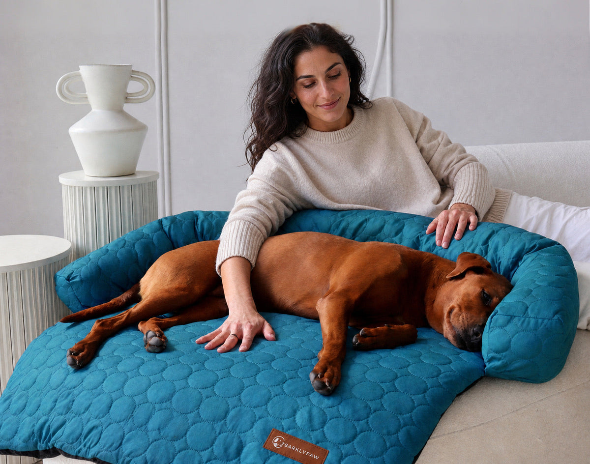 Cooling sofa bed for dogs on a living room couch