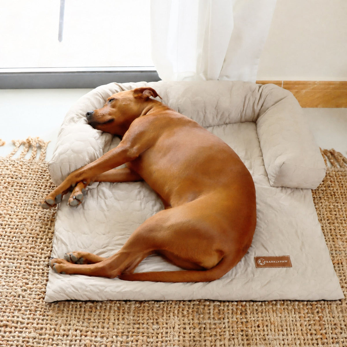 Cooling sofa bed for dogs on a living room couch