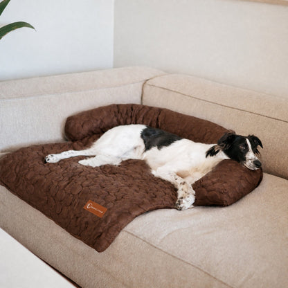 Cooling sofa bed for dogs on a living room couch