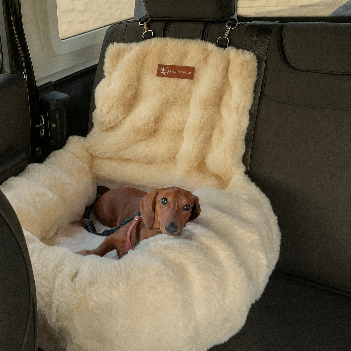 Luxurious car bed for dogs on a car seat