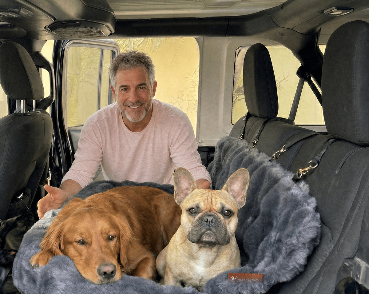 Luxurious car bed for dogs on a car seat