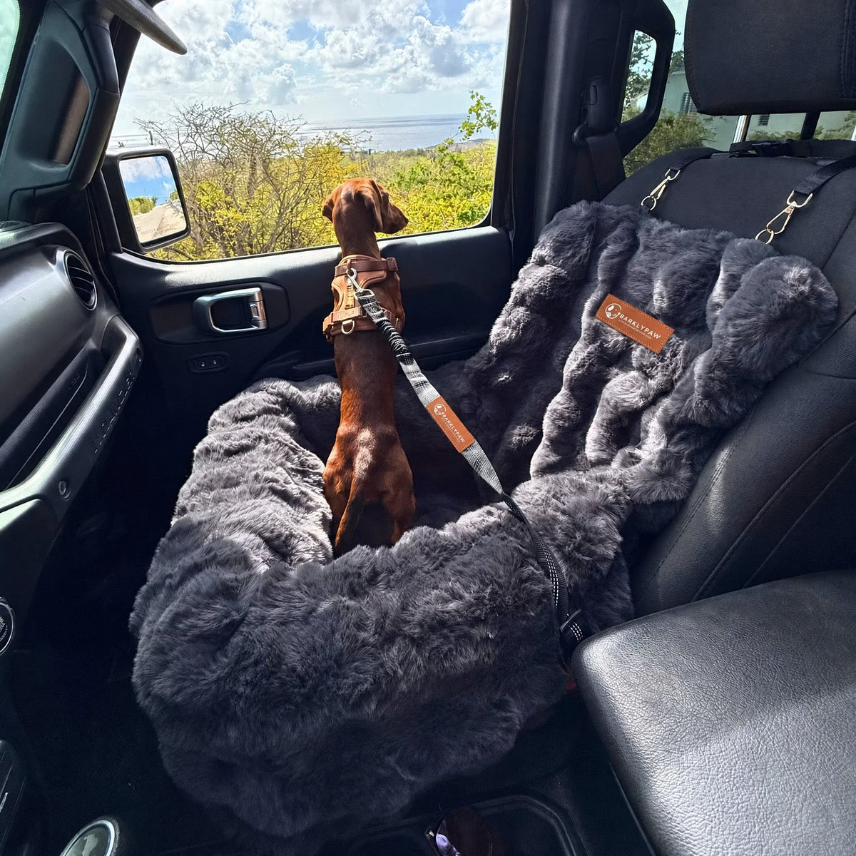 Luxurious car bed for dogs on a car seat