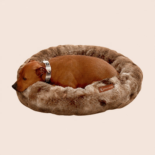 Luxurious faux-fur donut bed with a dog curled up in it