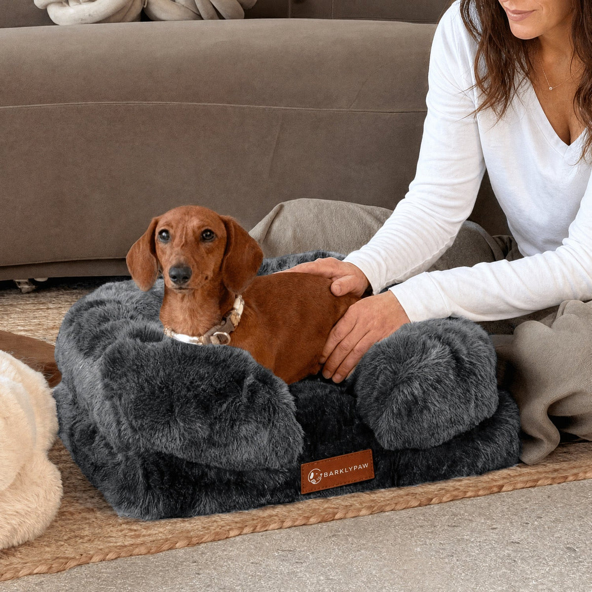 Luxurious orthopedic dog bed in a living room