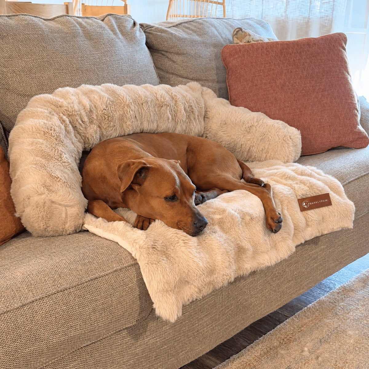 Luxurious faux-fur sofa bed for dogs with a dog resting on it