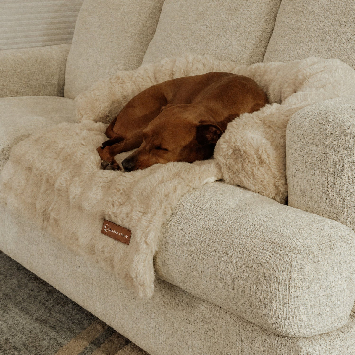 Luxurious faux-fur sofa bed for dogs with a dog resting on it