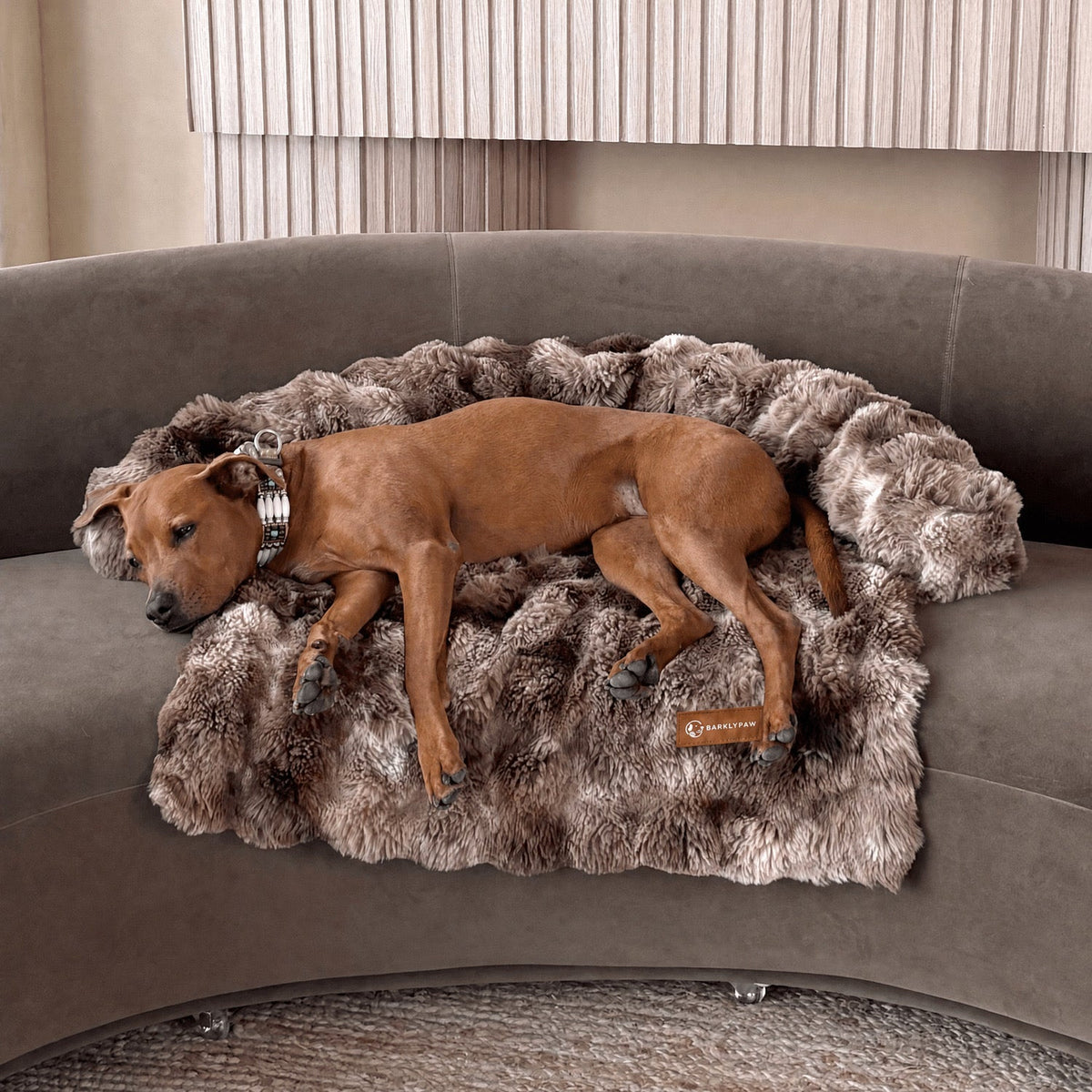 Luxurious faux-fur sofa bed for dogs with a dog resting on it