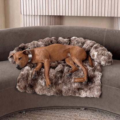Luxurious faux-fur sofa bed for dogs with a dog resting on it