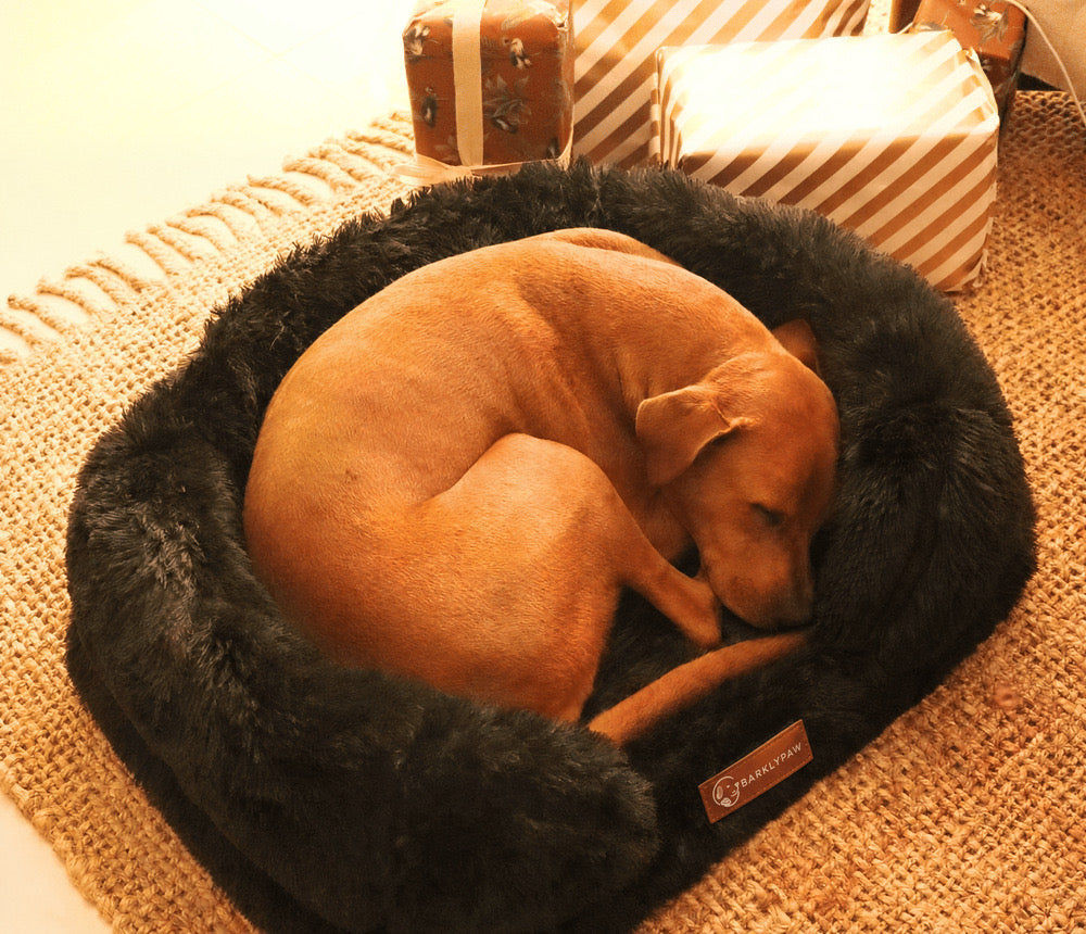 Orthopedic calming dog bed with faux-fur walls
