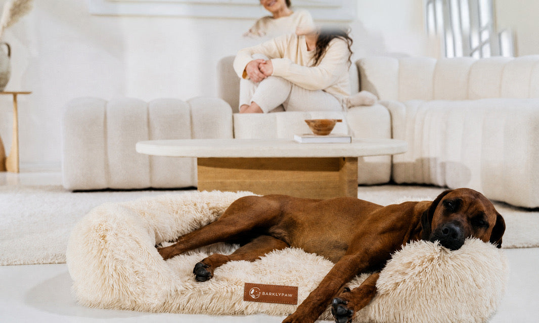 Orthopedic calming dog bed with faux-fur walls
