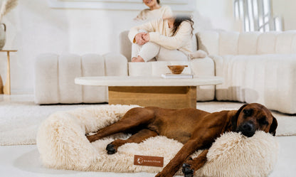 Orthopedic calming dog bed with faux-fur walls